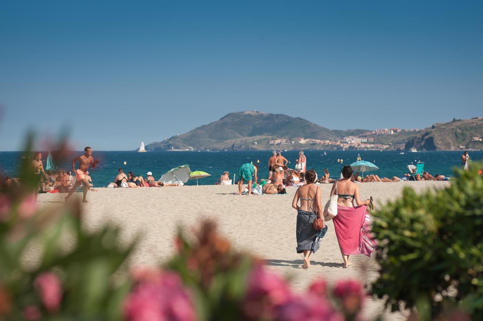 L'Hôtel du Méditerranée Argelès-sur-Mer Esterno foto