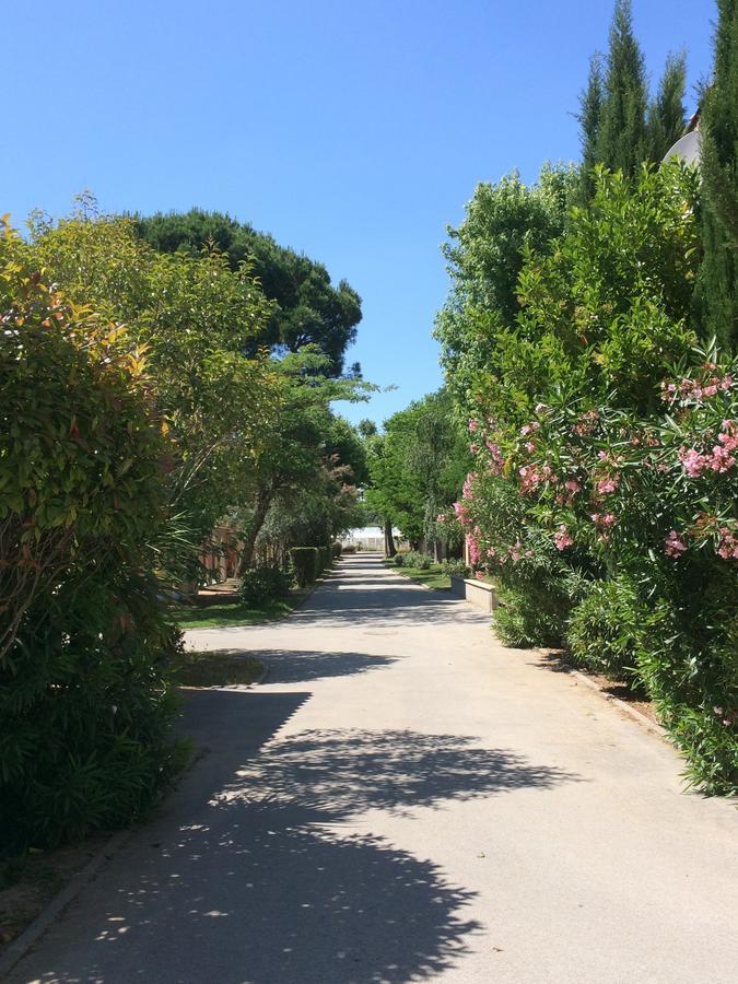 L'Hôtel du Méditerranée Argelès-sur-Mer Esterno foto